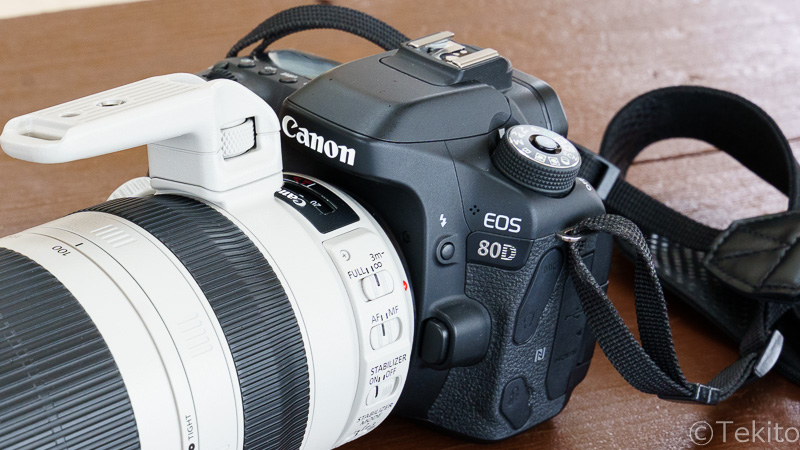 Canon EOS 80D