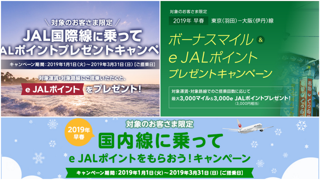 2019年早春JALキャンペーン
