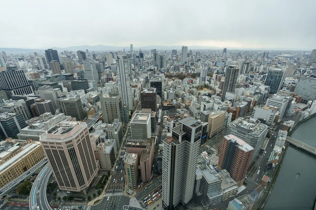 客室から見た景色